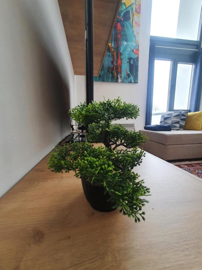 Bjelasnica Tuzlaks Apartment -Sauna-Free Parking Kültér fotó